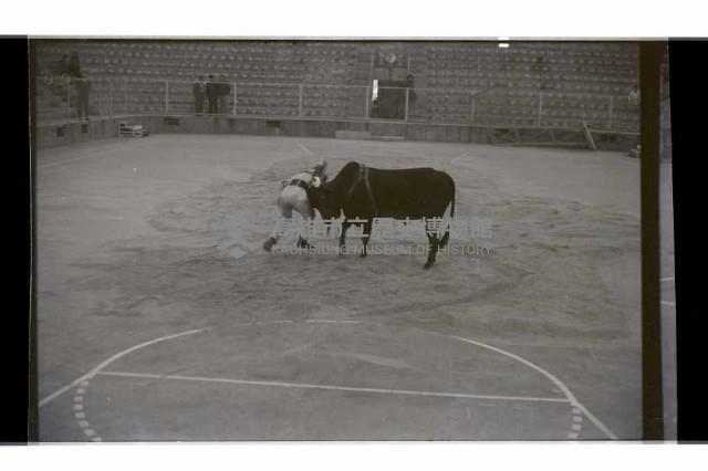 登錄號:KH2002.017.0141藏品圖，第1張