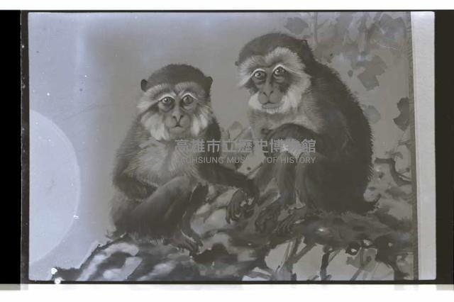 登錄號:KH2002.007.0431藏品圖，第1張