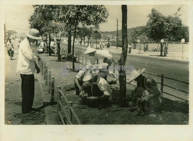 個人、建築及風景照相冊藏品圖，第78張