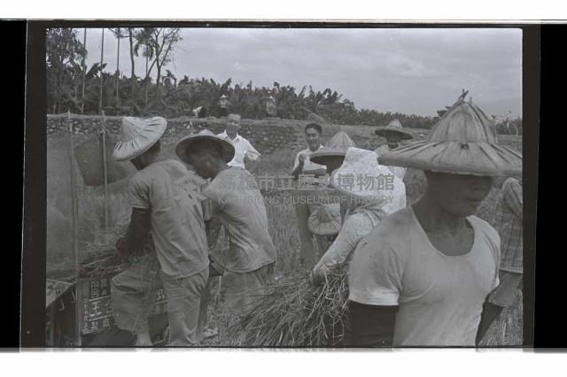 登錄號:KH2002.009.0254藏品圖，第1張