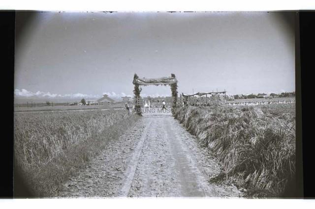 登錄號:KH2002.007.0322藏品圖，第1張