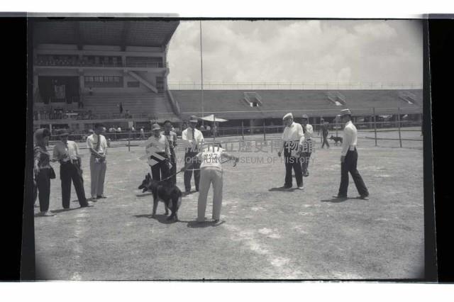 登錄號:KH2002.012.0545藏品圖，第1張