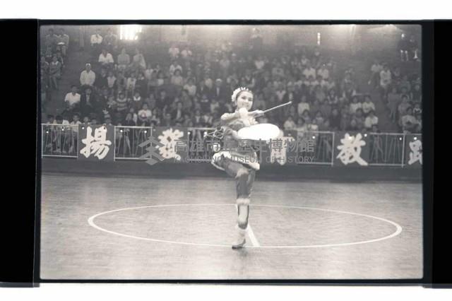 登錄號:KH2002.017.0295藏品圖，第1張