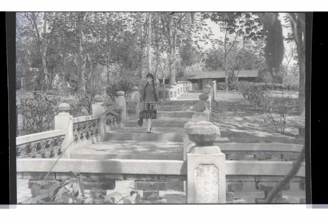 登錄號:KH2002.017.0199藏品圖，第1張