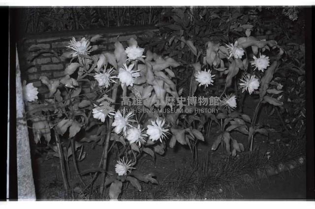 登錄號:KH2002.013.0023藏品圖，第1張