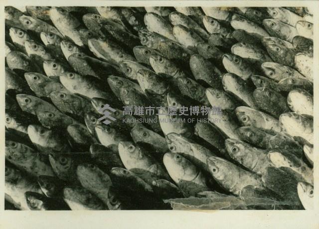 個人、建築及風景照相冊藏品圖，第115張