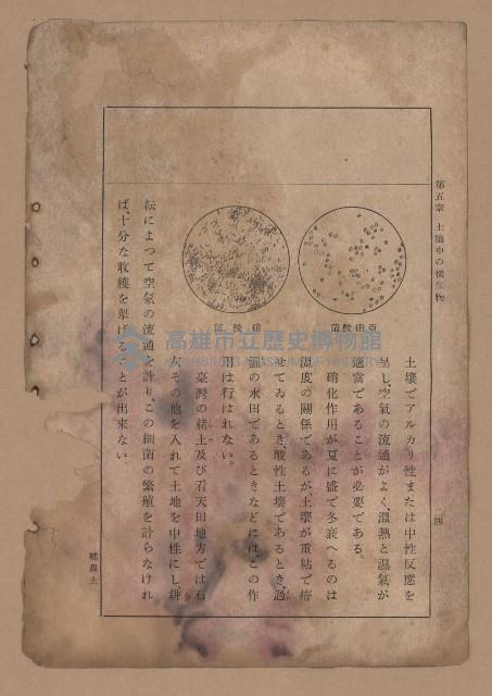 《補習學校農業教科書土壤肥料篇》藏品圖，第31張