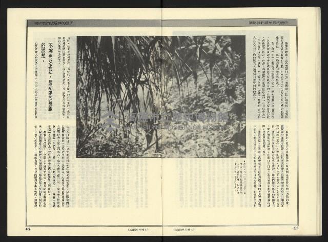 《新潮流NO.4》藏品圖，第25張