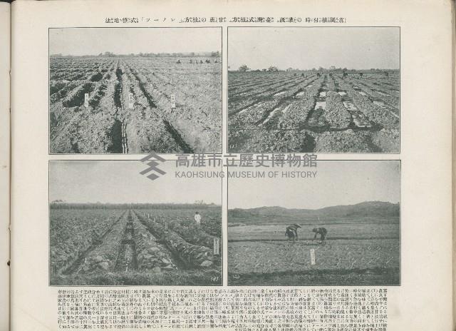 登錄號:KH2003.008.0176藏品圖，第25張