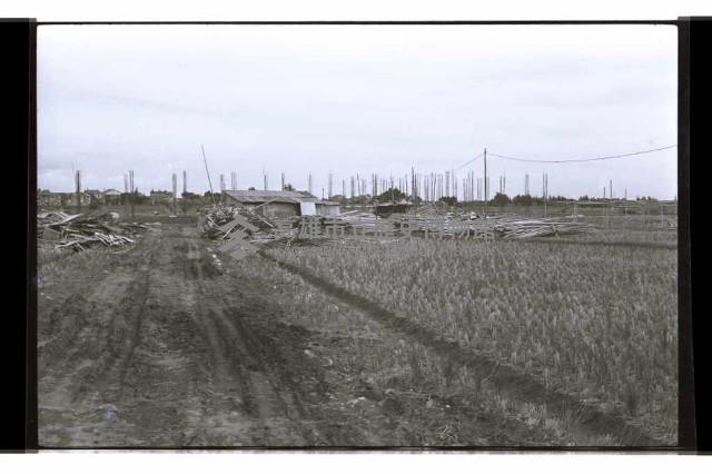 登錄號:KH2002.007.0324藏品圖，第25張