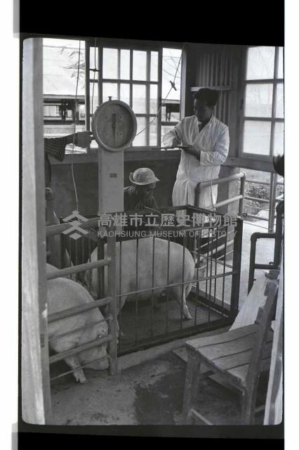 登錄號:KH2002.016.0074藏品圖，第25張