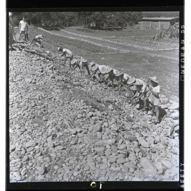 登錄號:KH2002.007.0152藏品圖，第25張