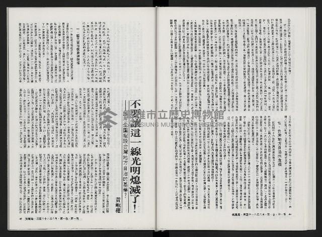 《美麗島NO.1》藏品圖，第25張