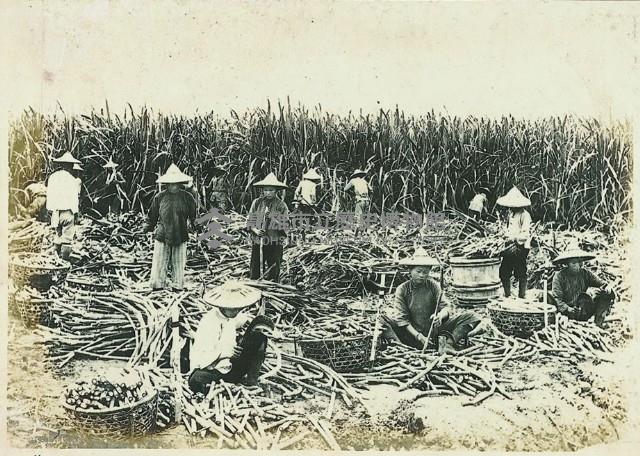 登錄號:KH2003.008.0179藏品圖，第25張