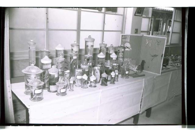 登錄號:KH2002.007.0173藏品圖，第25張