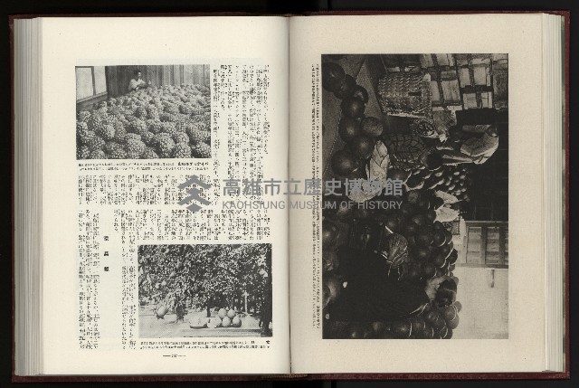 《日本地理風俗大系-  第十五卷 臺灣篇》藏品圖，第85張
