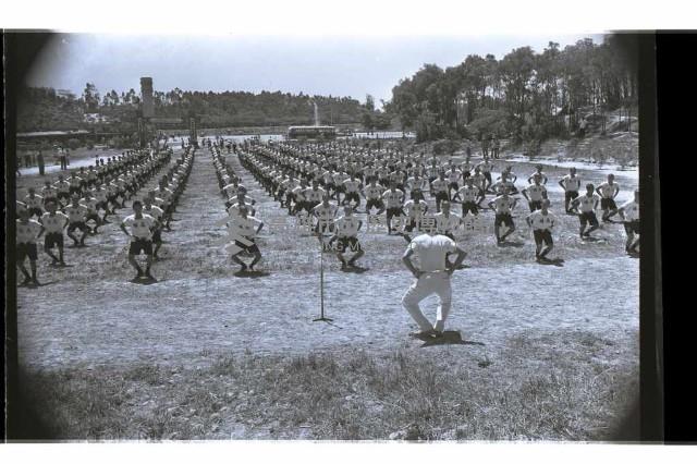 登錄號:KH2002.007.0320藏品圖，第65張