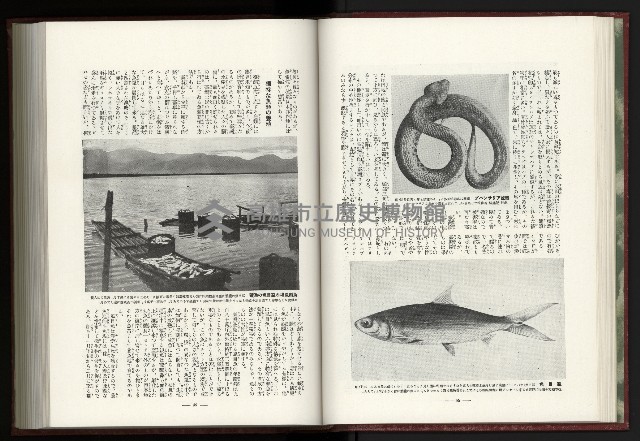 《日本地理風俗大系-  第十五卷 臺灣篇》藏品圖，第45張