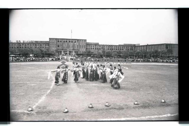 登錄號:KH2002.007.0195藏品圖，第45張