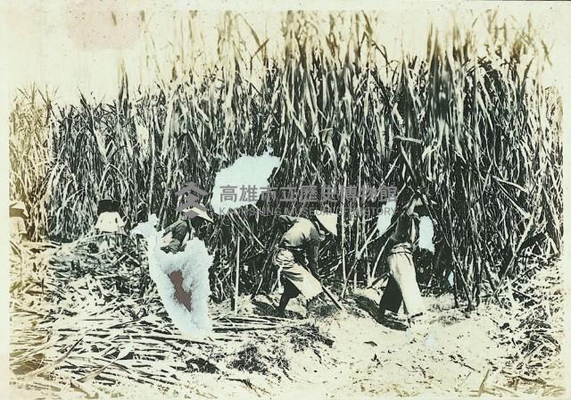 登錄號:KH2003.008.0179藏品圖，第45張