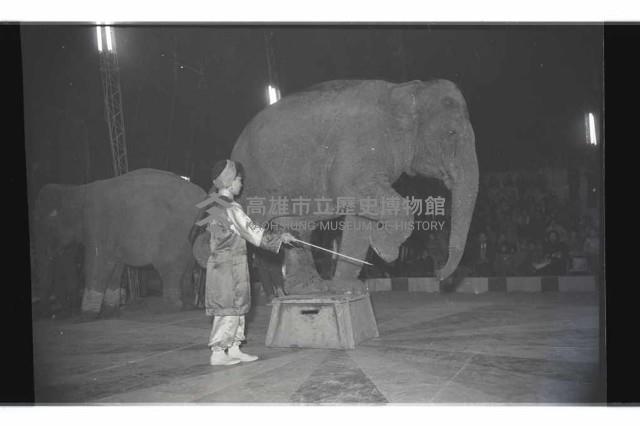 登錄號:KH2002.017.0161藏品圖，第75張