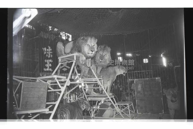 登錄號:KH2002.017.0161藏品圖，第55張