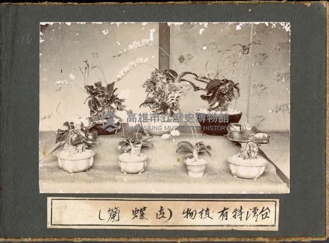 登錄號:KH2003.008.0126藏品圖，第15張