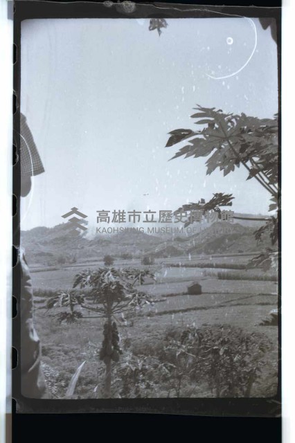 登錄號:KH2002.015.0046藏品圖，第15張