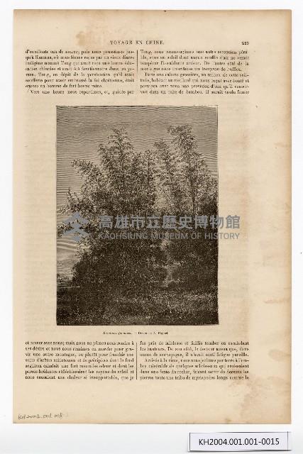 約翰‧湯姆生（John Thomson）的臺灣南部圖像藏品圖，第15張