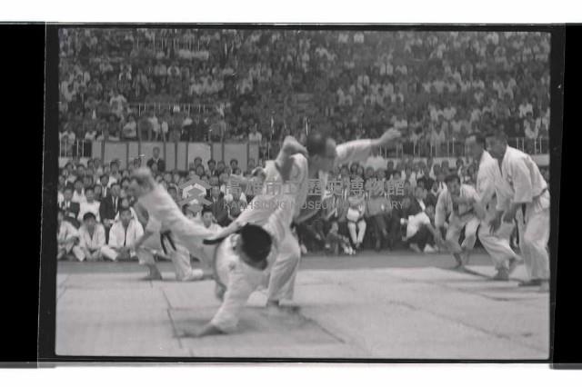 登錄號:KH2002.017.0291藏品圖，第15張