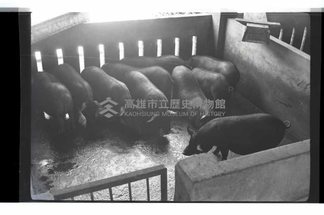 登錄號:KH2002.016.0074藏品圖，第15張