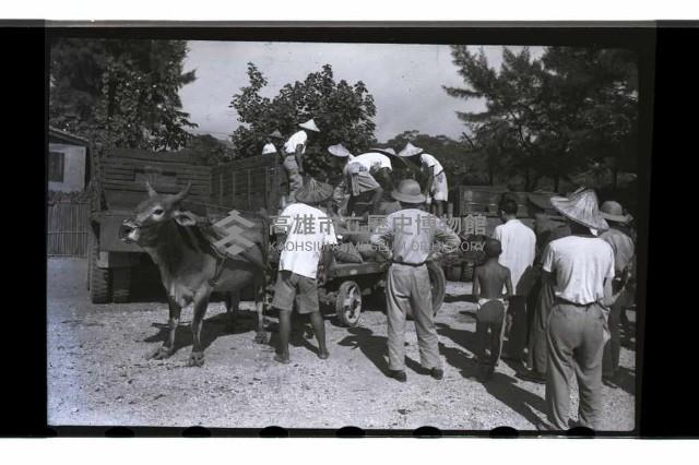 登錄號:KH2002.019.0032藏品圖，第15張