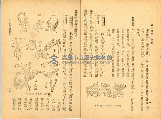 《高級小學 自然課本 第二冊》藏品圖，第17張