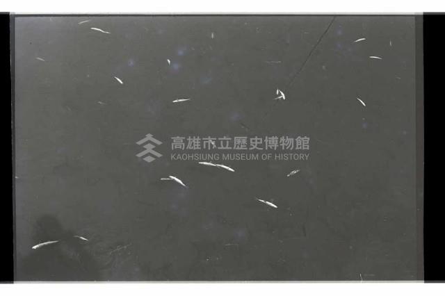 登錄號:KH2002.012.0435藏品圖，第15張