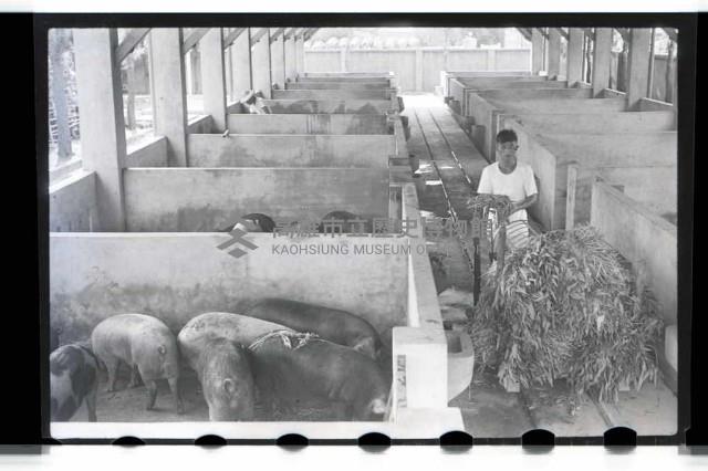 登錄號:KH2002.012.0069藏品圖，第15張