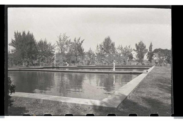 登錄號:KH2002.010.0049藏品圖，第15張