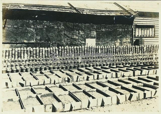 登錄號:KH2003.008.0179藏品圖，第105張