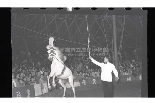 登錄號:KH2002.017.0010藏品圖，第5張