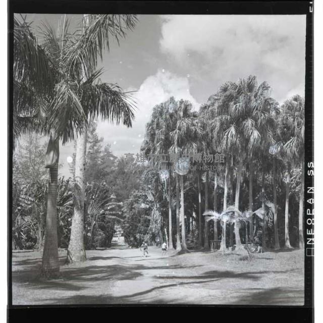 登錄號:KH2002.016.0050藏品圖，第5張