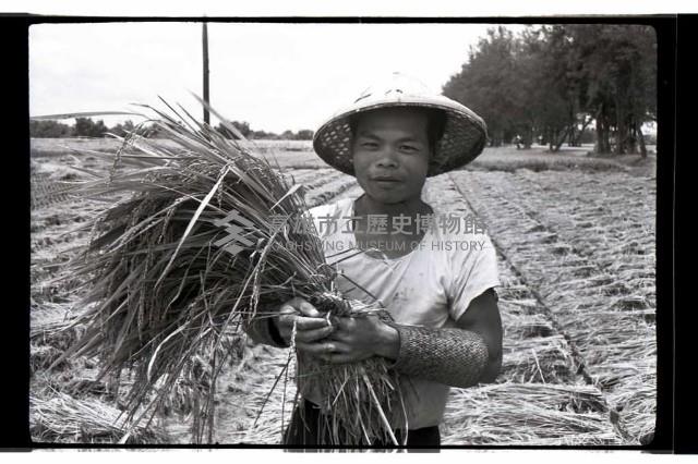 登錄號:KH2002.011.0016藏品圖，第5張