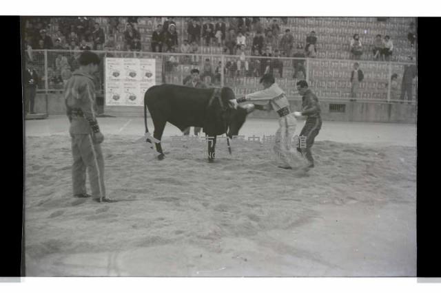 登錄號:KH2002.017.0141藏品圖，第5張