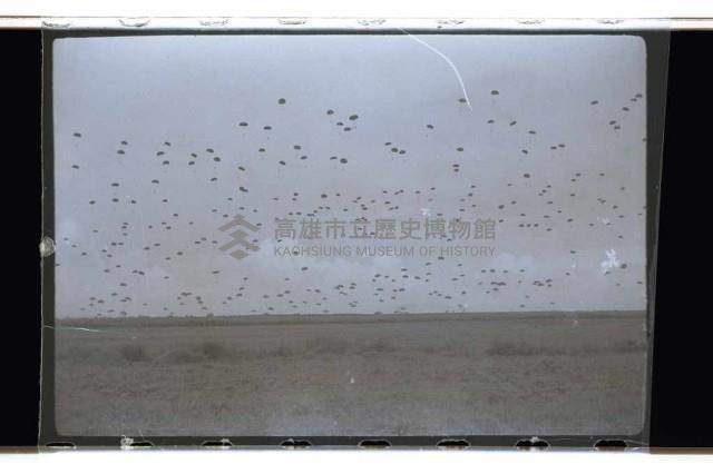 登錄號:KH2002.019.0072藏品圖，第5張