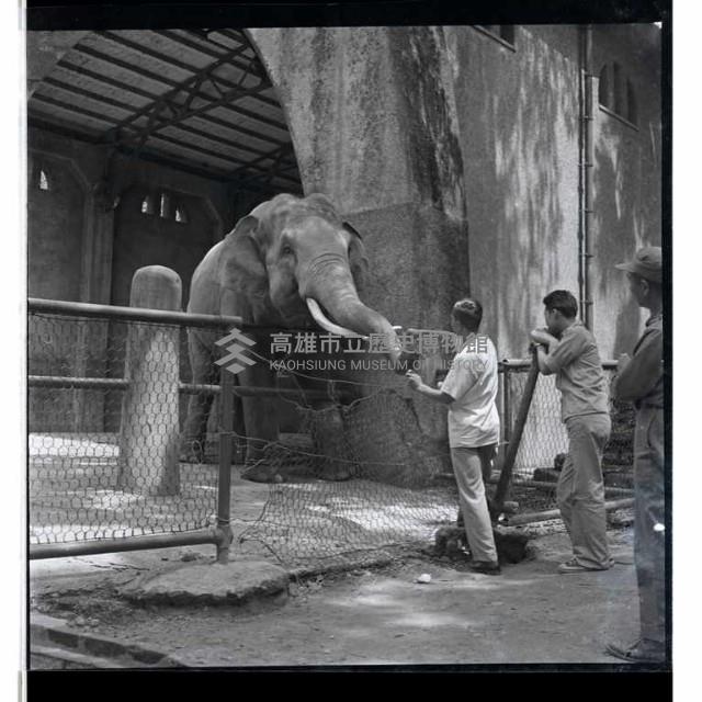 登錄號:KH2002.013.0007藏品圖，第5張