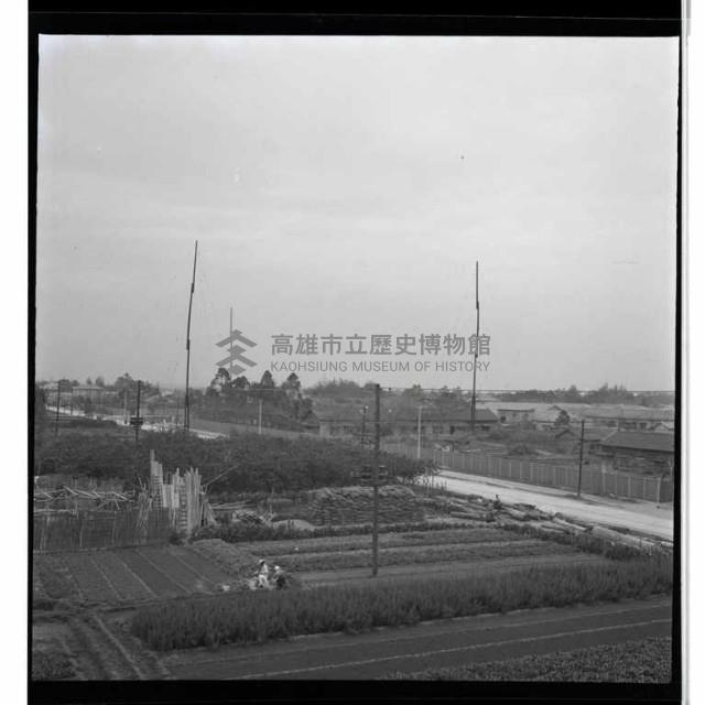 登錄號:KH2002.012.0005藏品圖，第5張