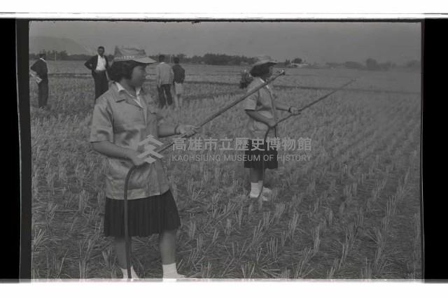 登錄號:KH2002.018.0115藏品圖，第5張