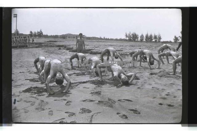 登錄號:KH2002.007.0255藏品圖，第5張