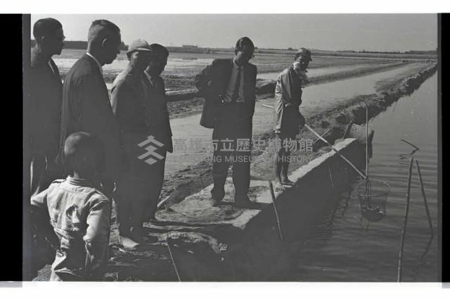 登錄號:KH2002.012.0435藏品圖，第5張