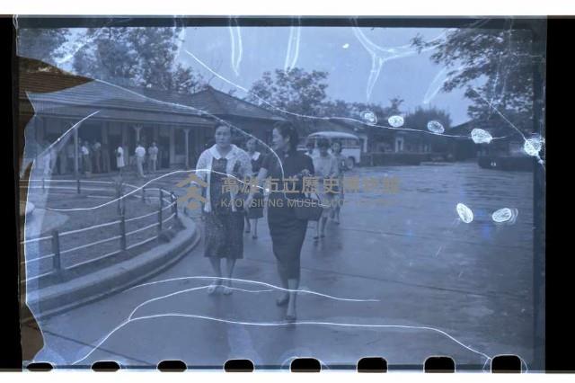 登錄號:KH2002.012.0219藏品圖，第5張