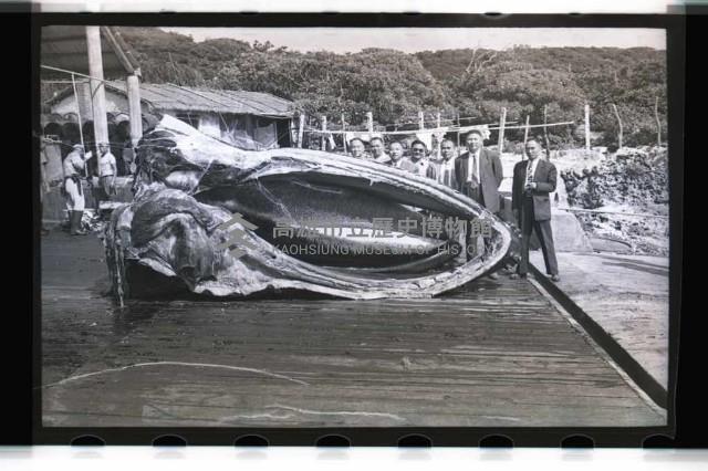 登錄號:KH2002.012.0153藏品圖，第5張