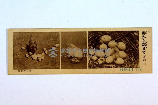 登錄號:KH2003.003.0086藏品圖，第36張